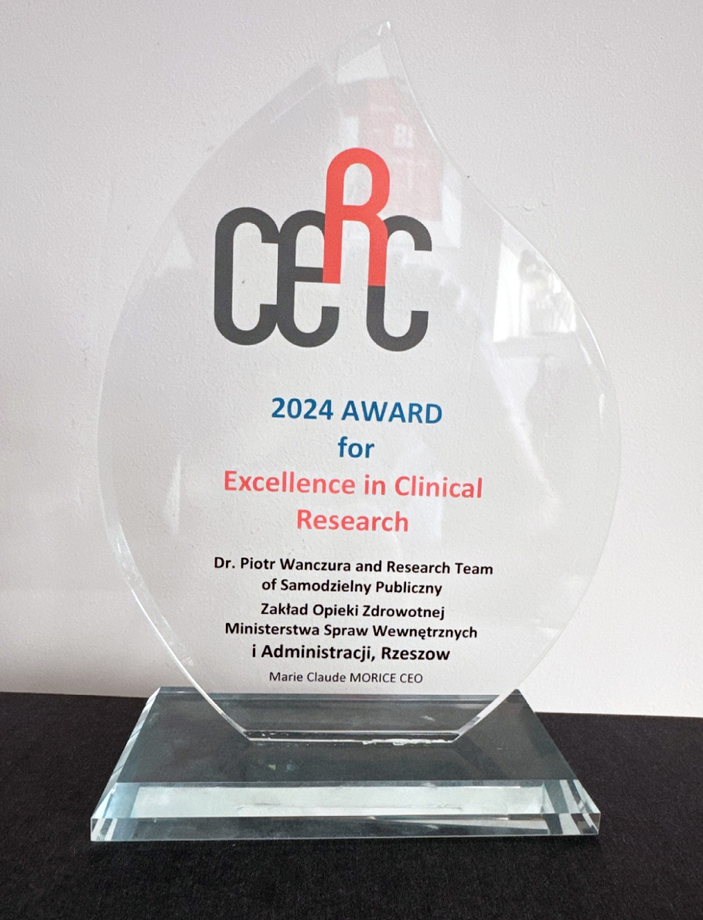 Statuetka Excellence in Clinical Research 