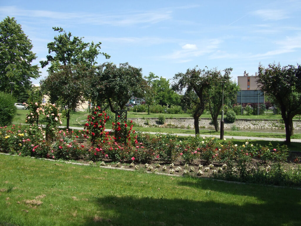 2010 park i kwiaty 05