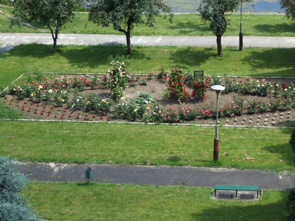 2010 park i kwiaty 08