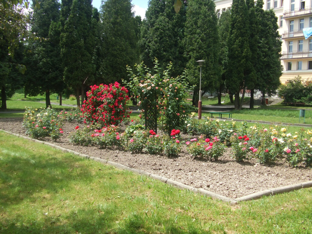 2010 park i kwiaty 15